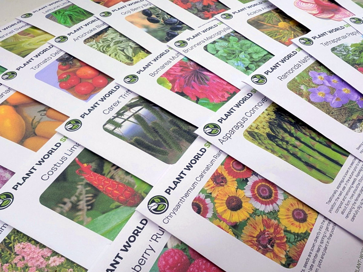 Seed packets laid out on a table