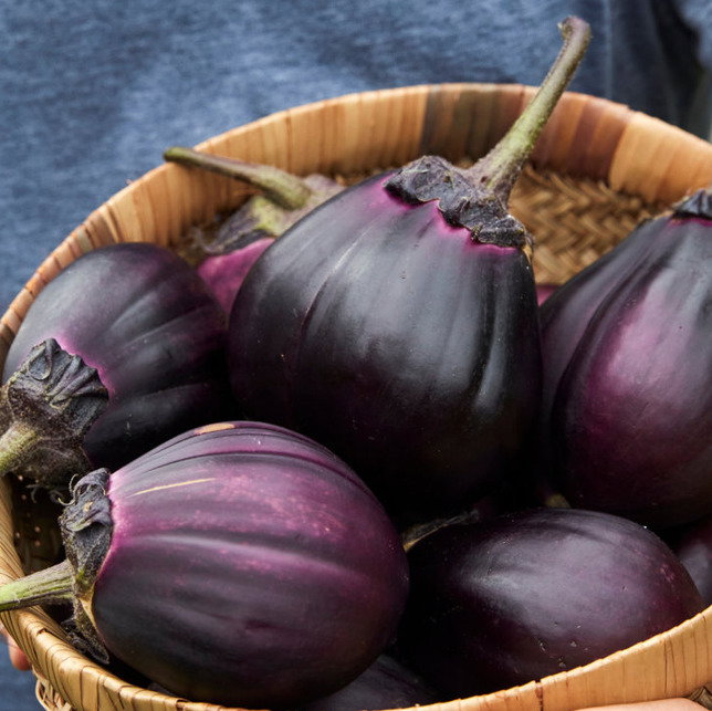 Aubergine Meatball F1