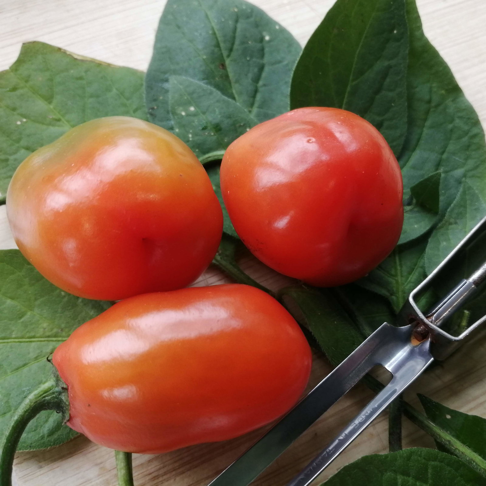Pepper Red Ricotto