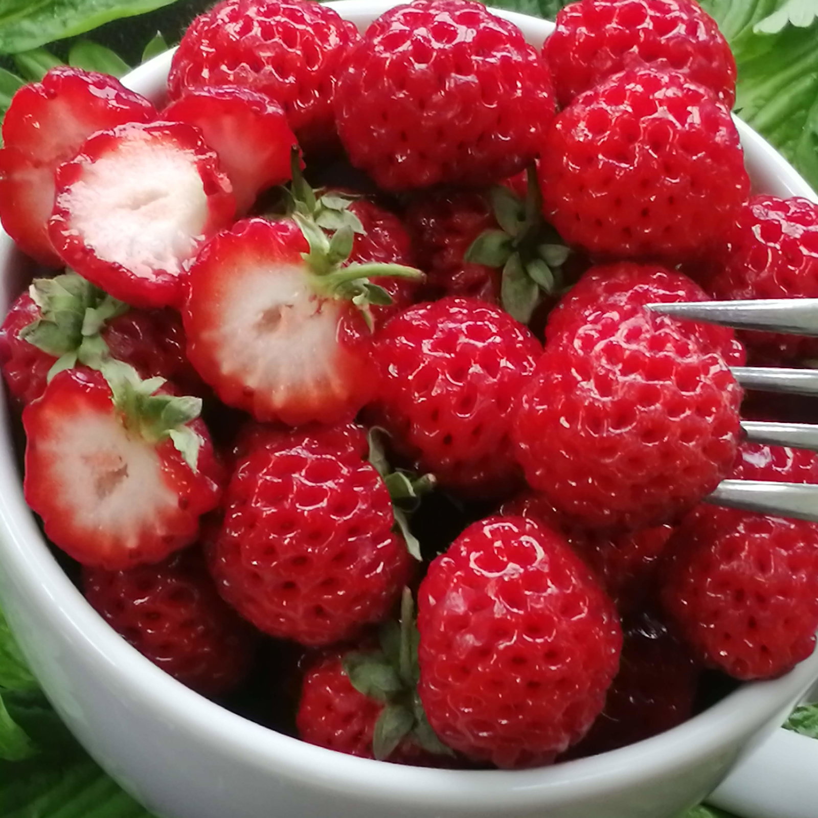 Strasberry