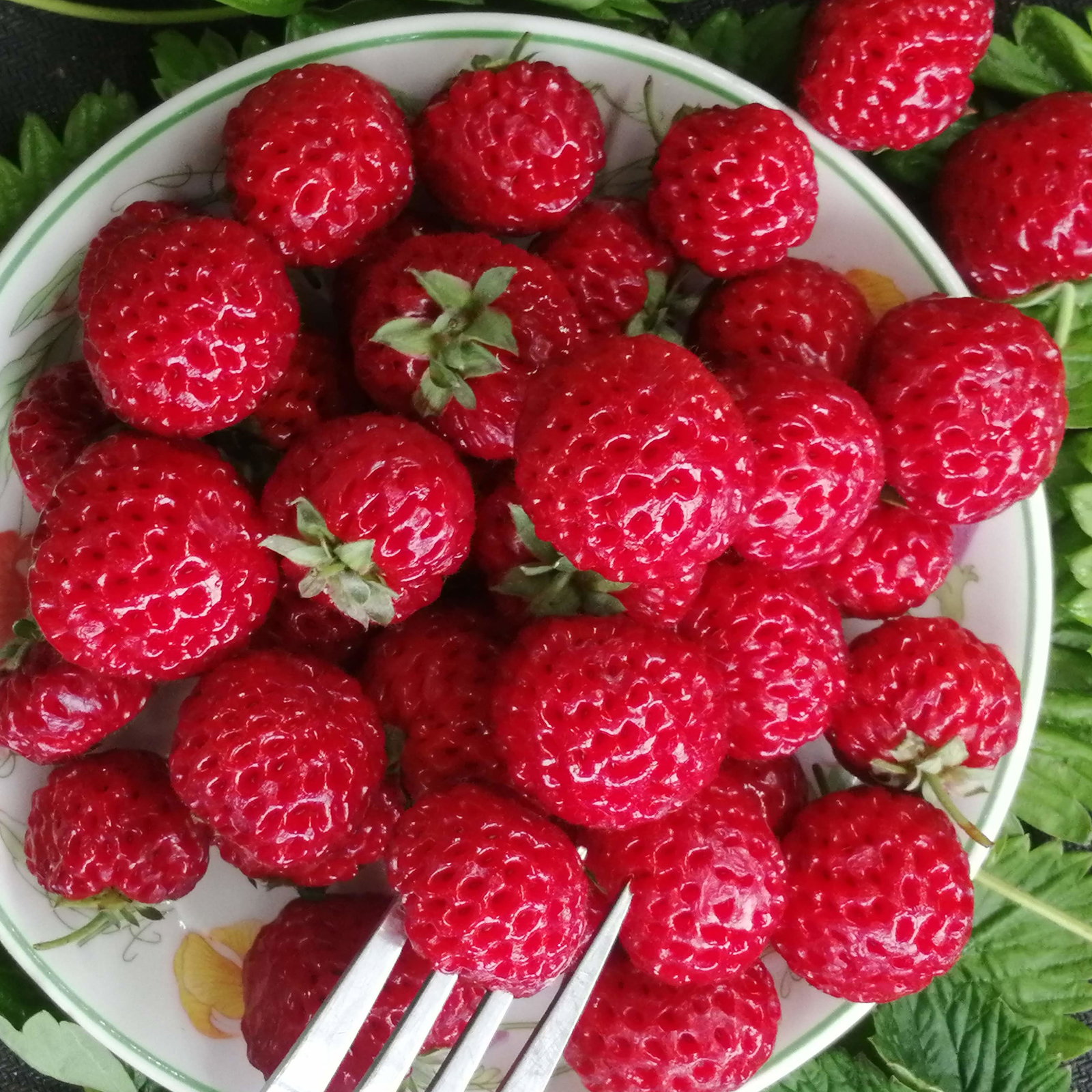 Strasberry