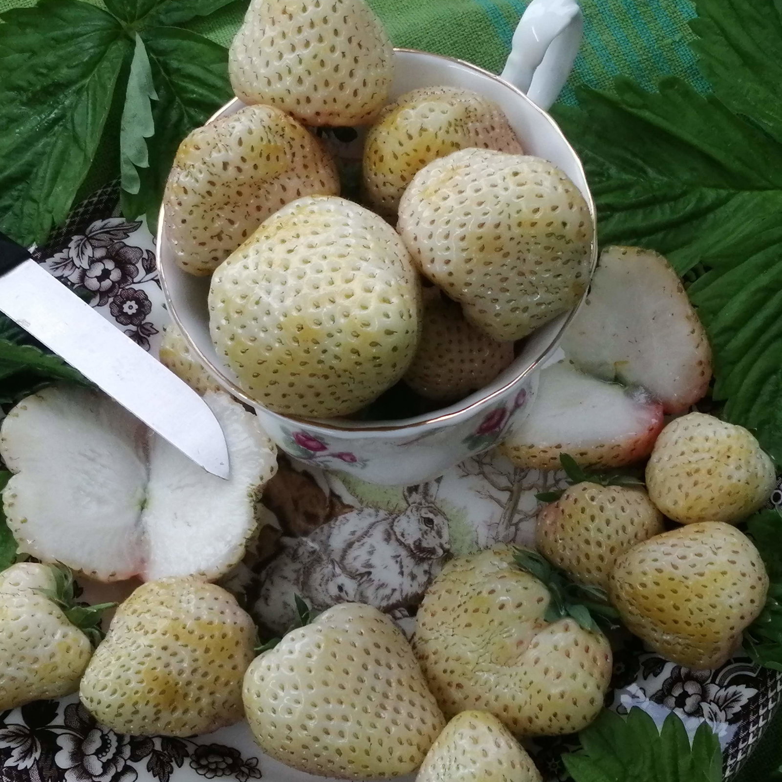 Strawberry White Snowball