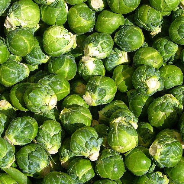 Brussel Sprouts Dark Mar E1758807393939