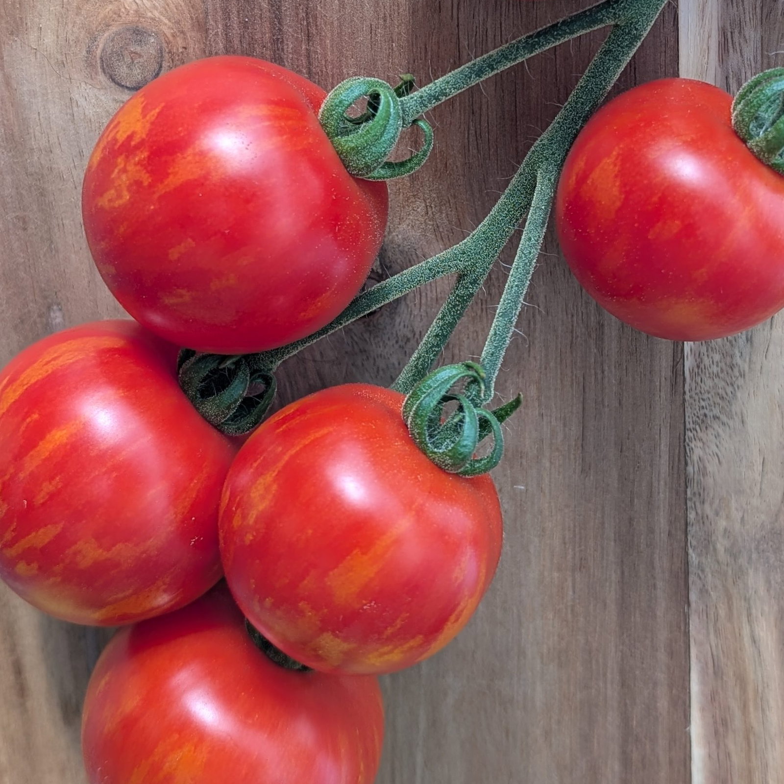 Tomato Tigerella 4 Scaled