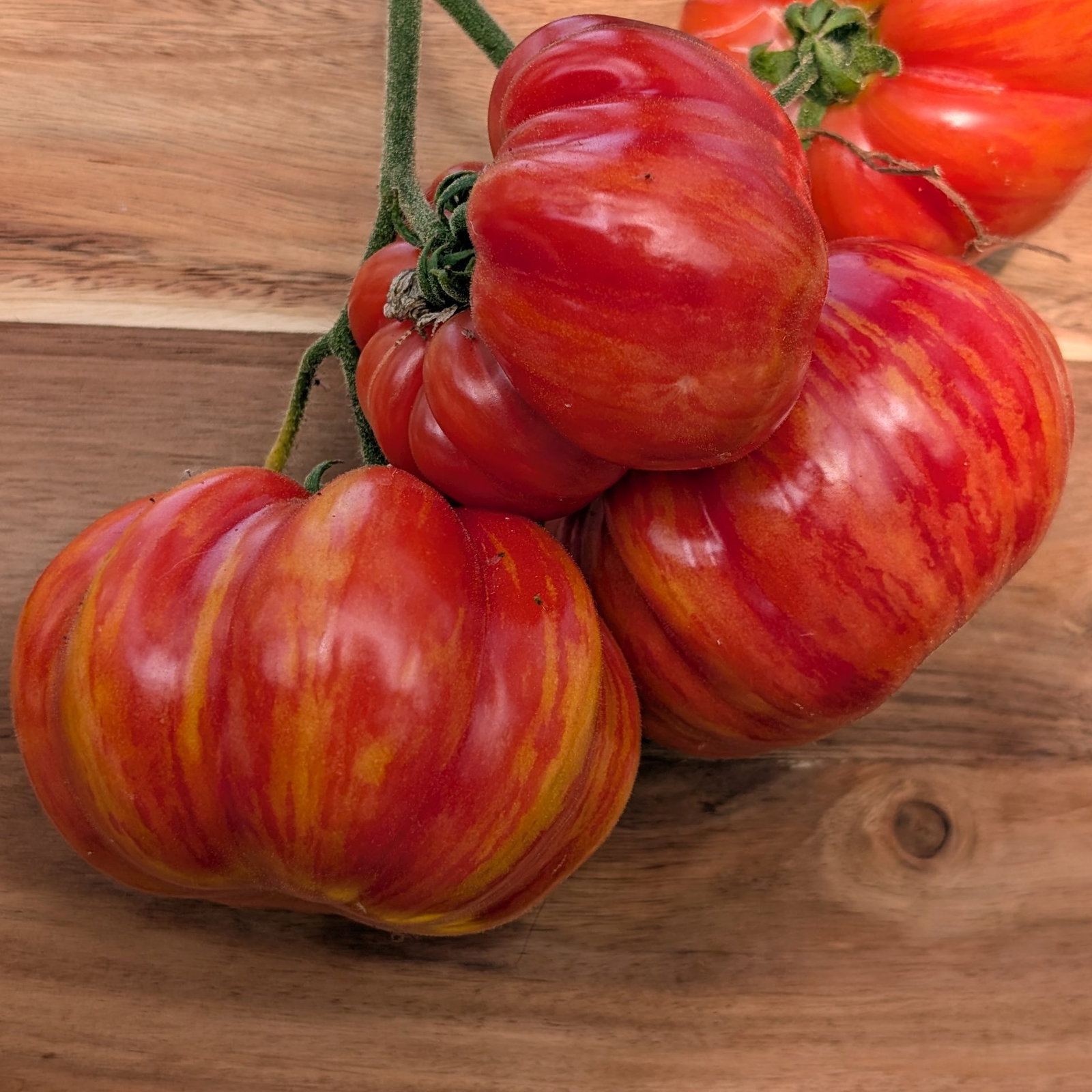 Tomato Vintage Wine 4 Scaled