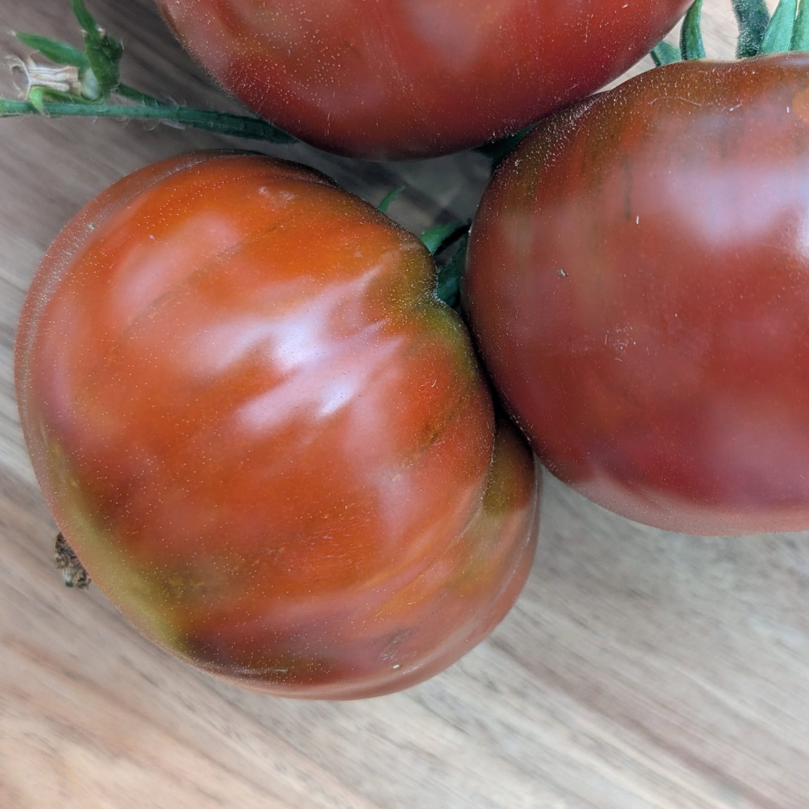 Tomato Black Aisberg 1 Scaled