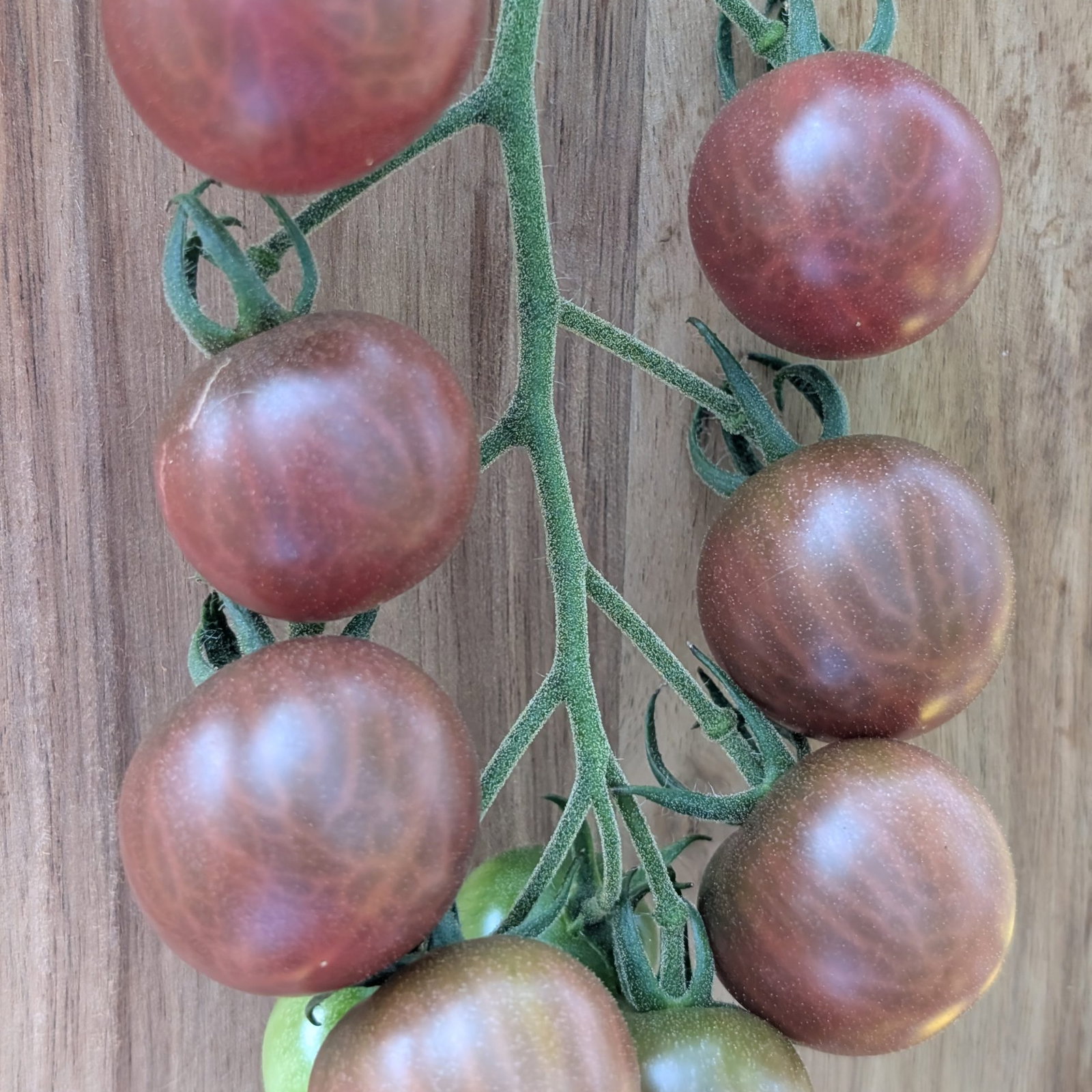 Tomato Black Cherry 1 Scaled