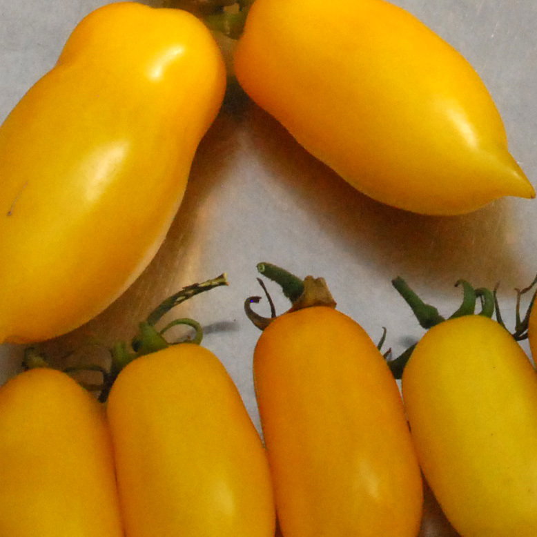 Bananalegs2