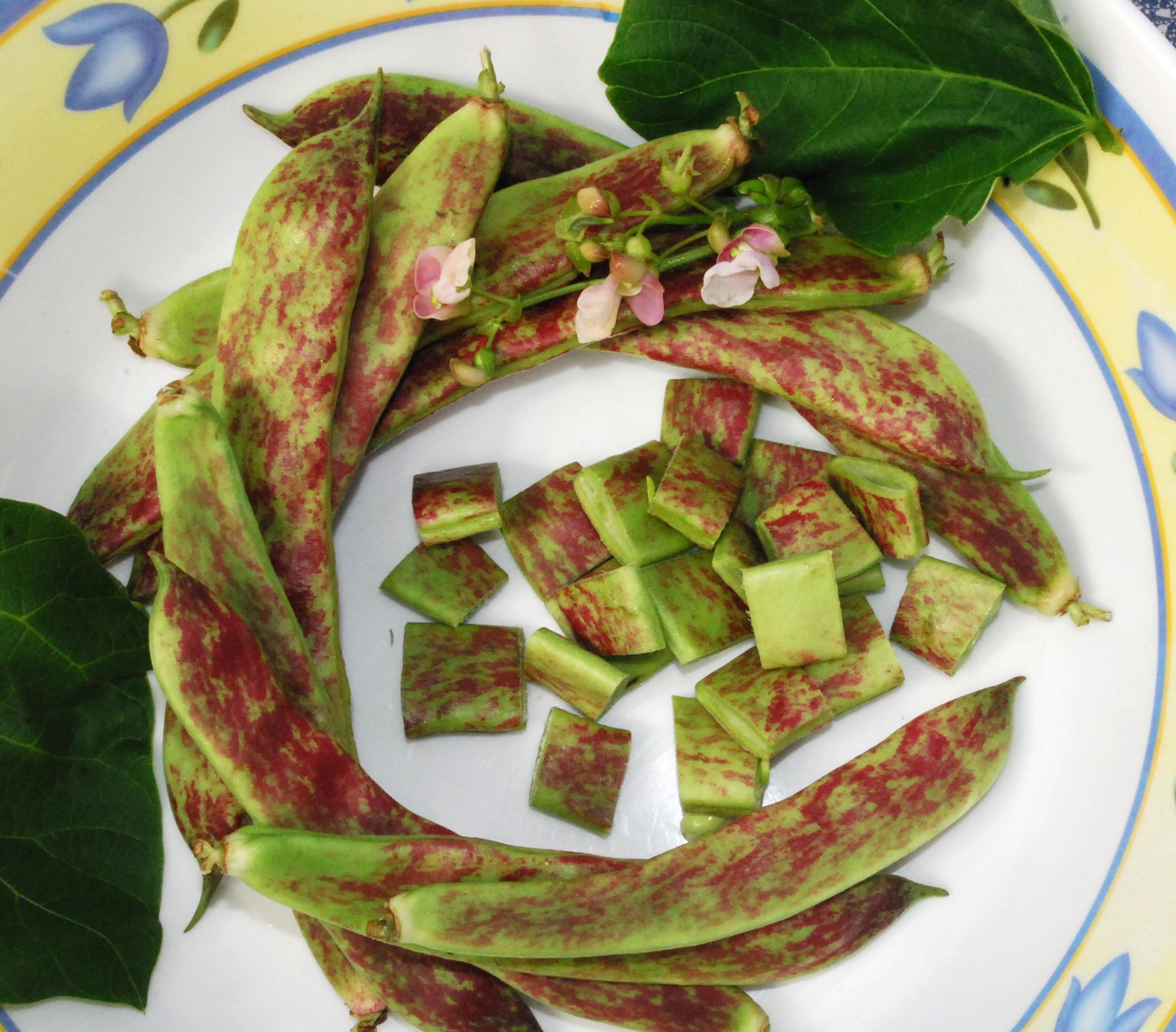 Barlotta Lingua Di Fuocco2