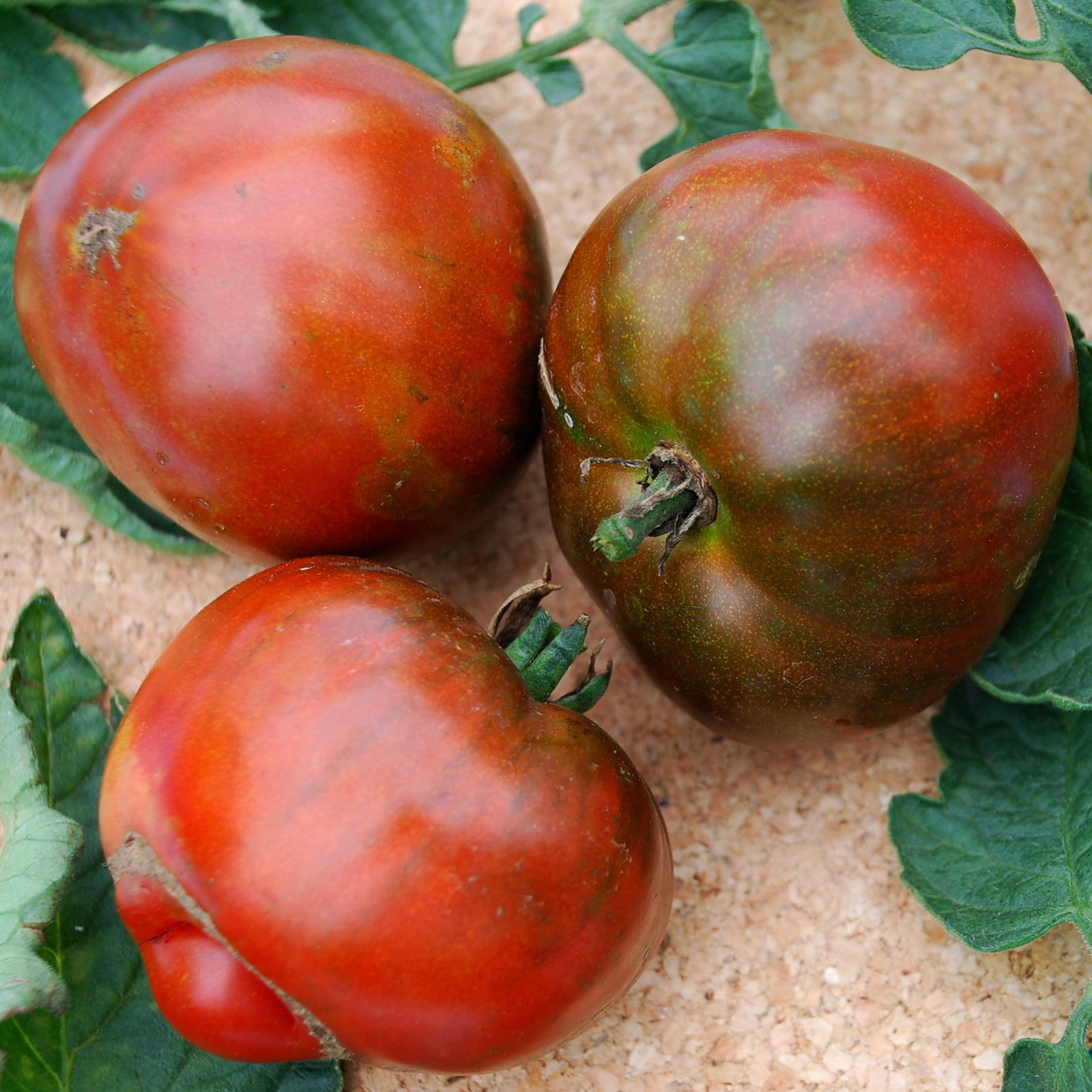 Black Aisberg