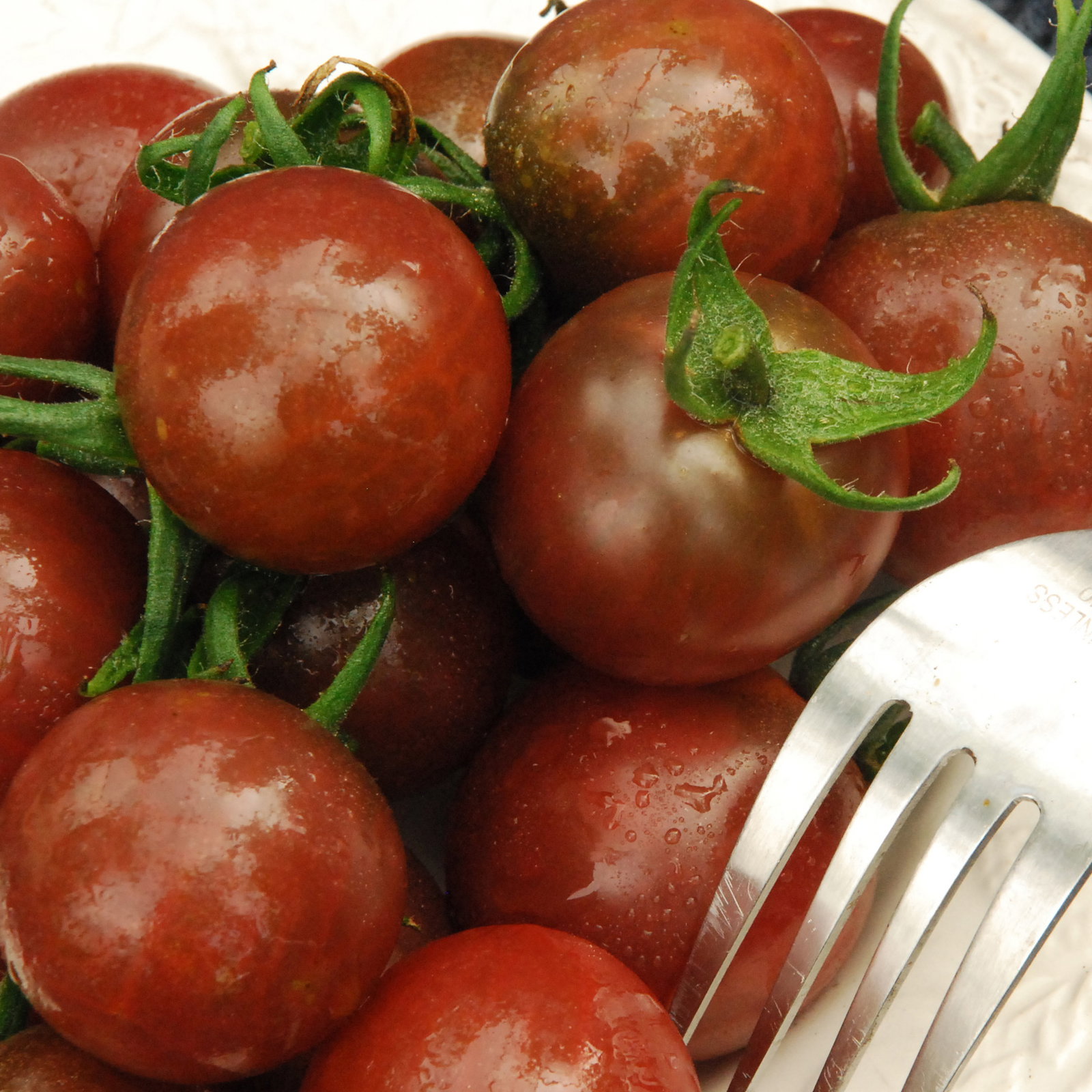 Blackcherry2