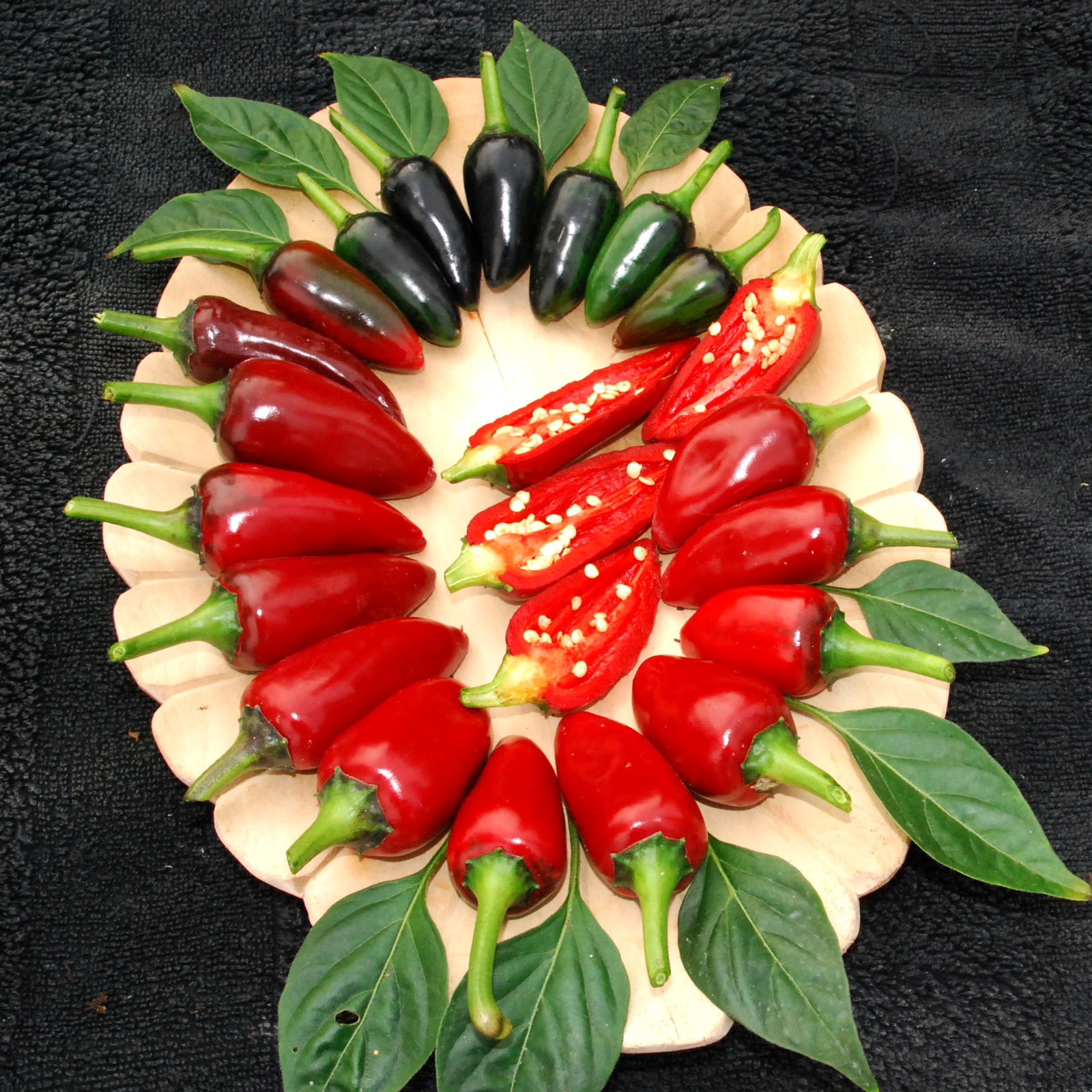 Black Hungarian Pepper8