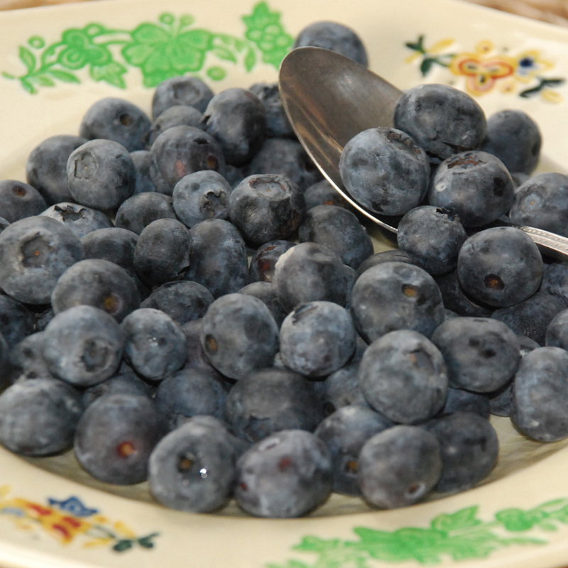 Blueberry3