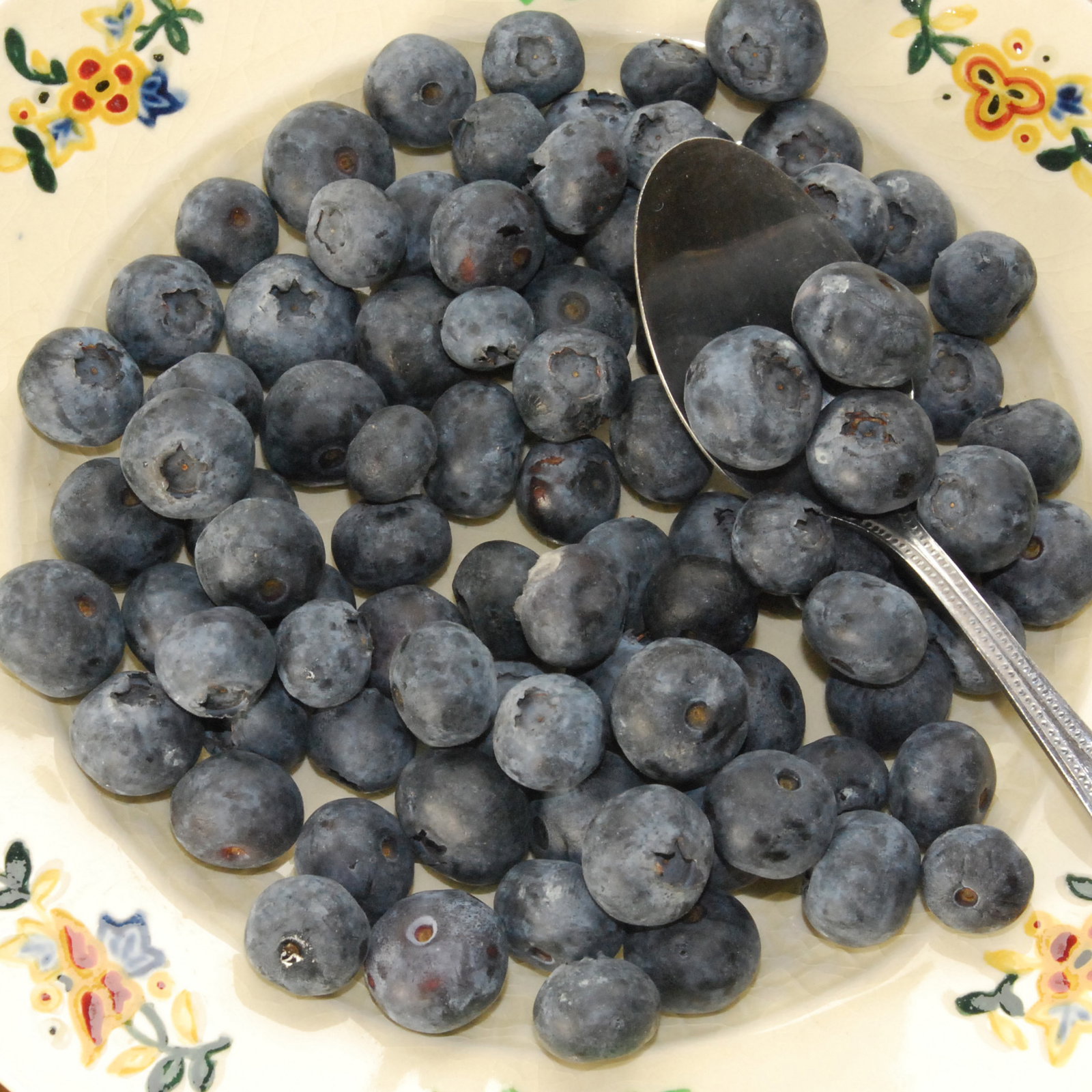 Blueberry2