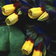 Cerinthe Yellow Gem