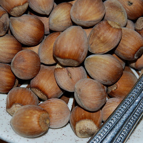 Hazelnuts