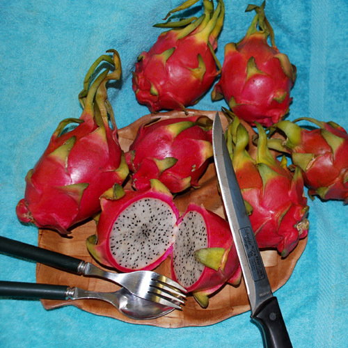 Dragon Fruit