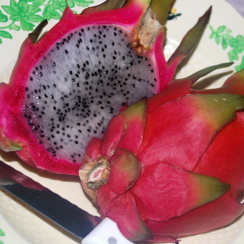 Dragonfruit
