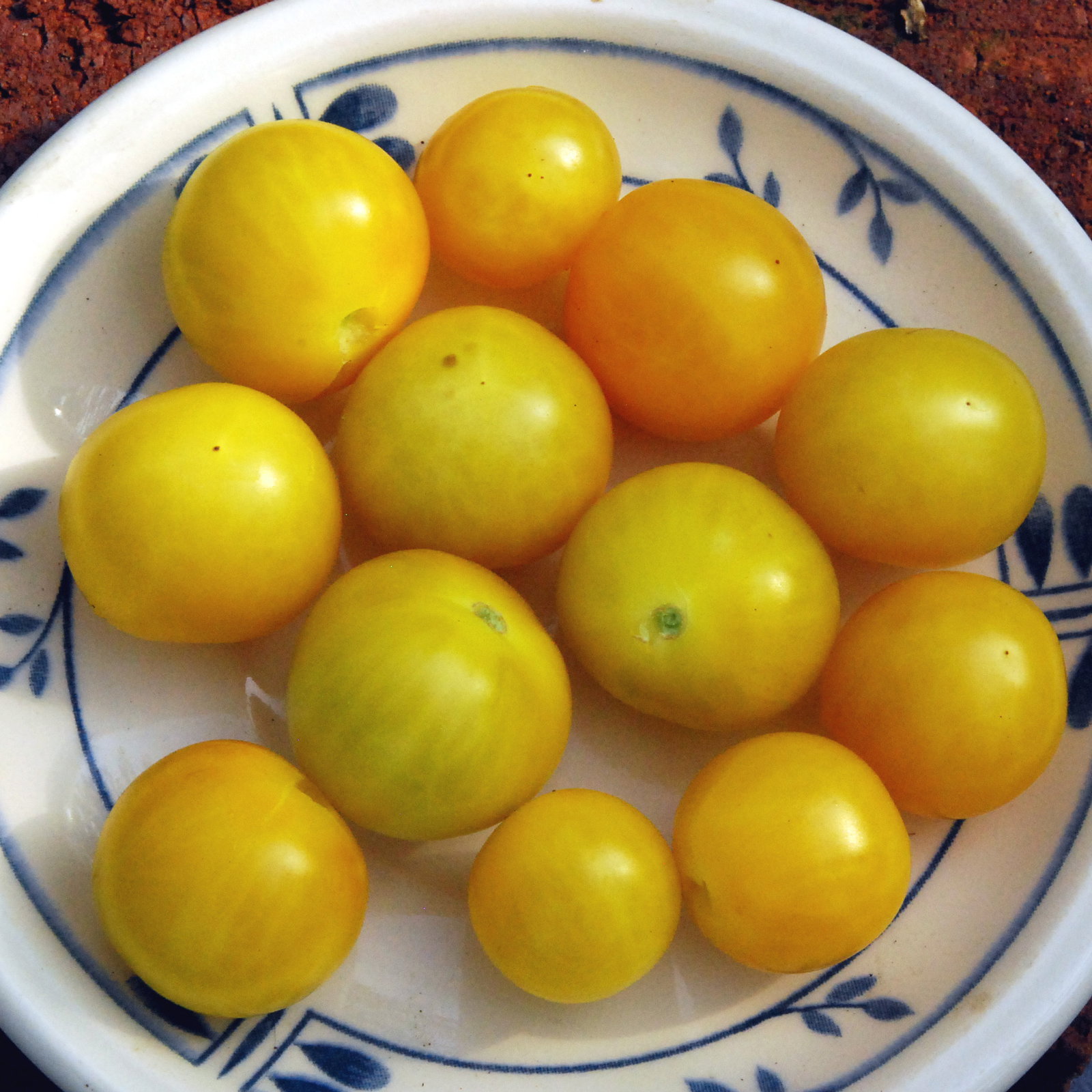 Eggyolk1