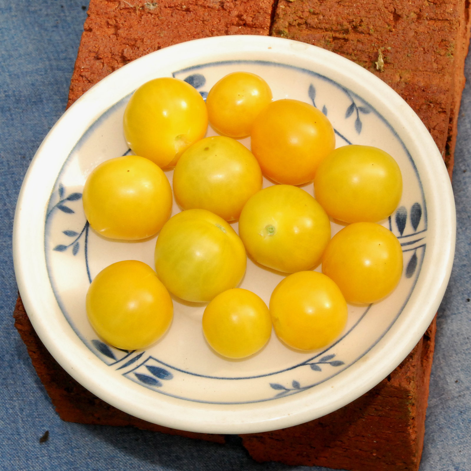 Eggyolk2