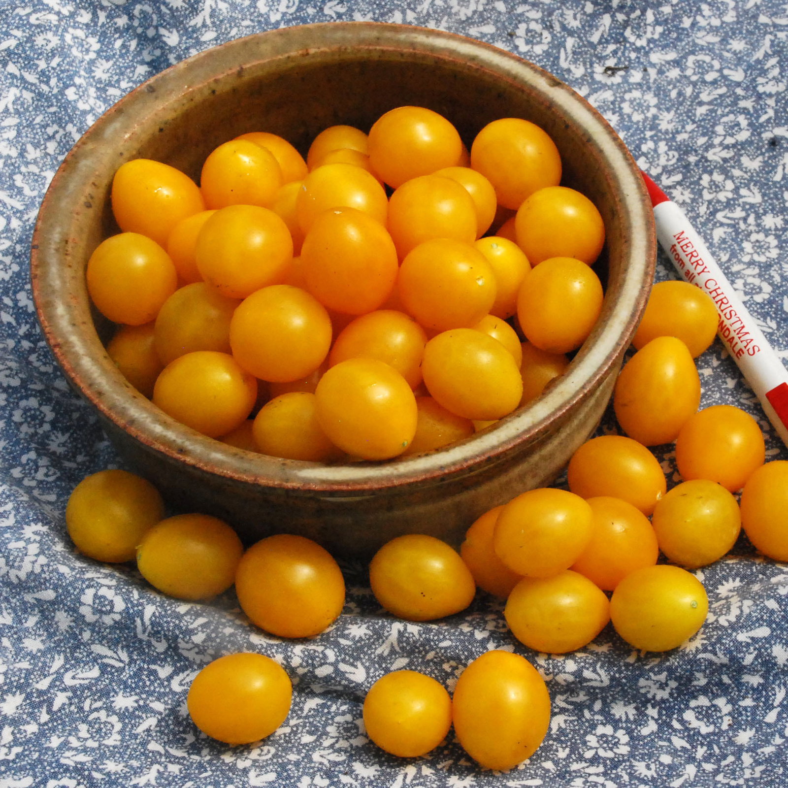 Estonian Yellow Cherry1