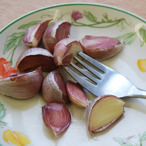 Garlic