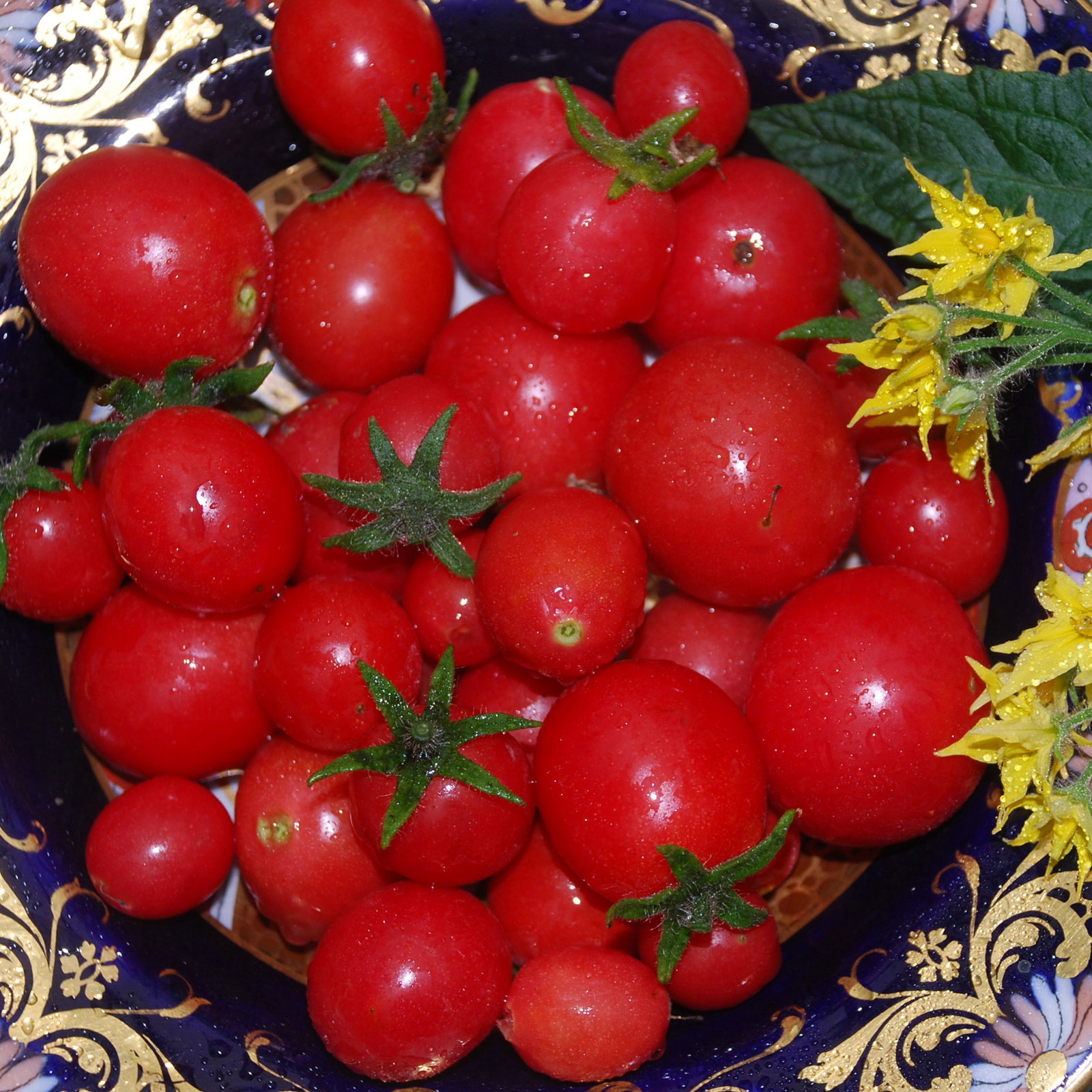 Gartenperle2