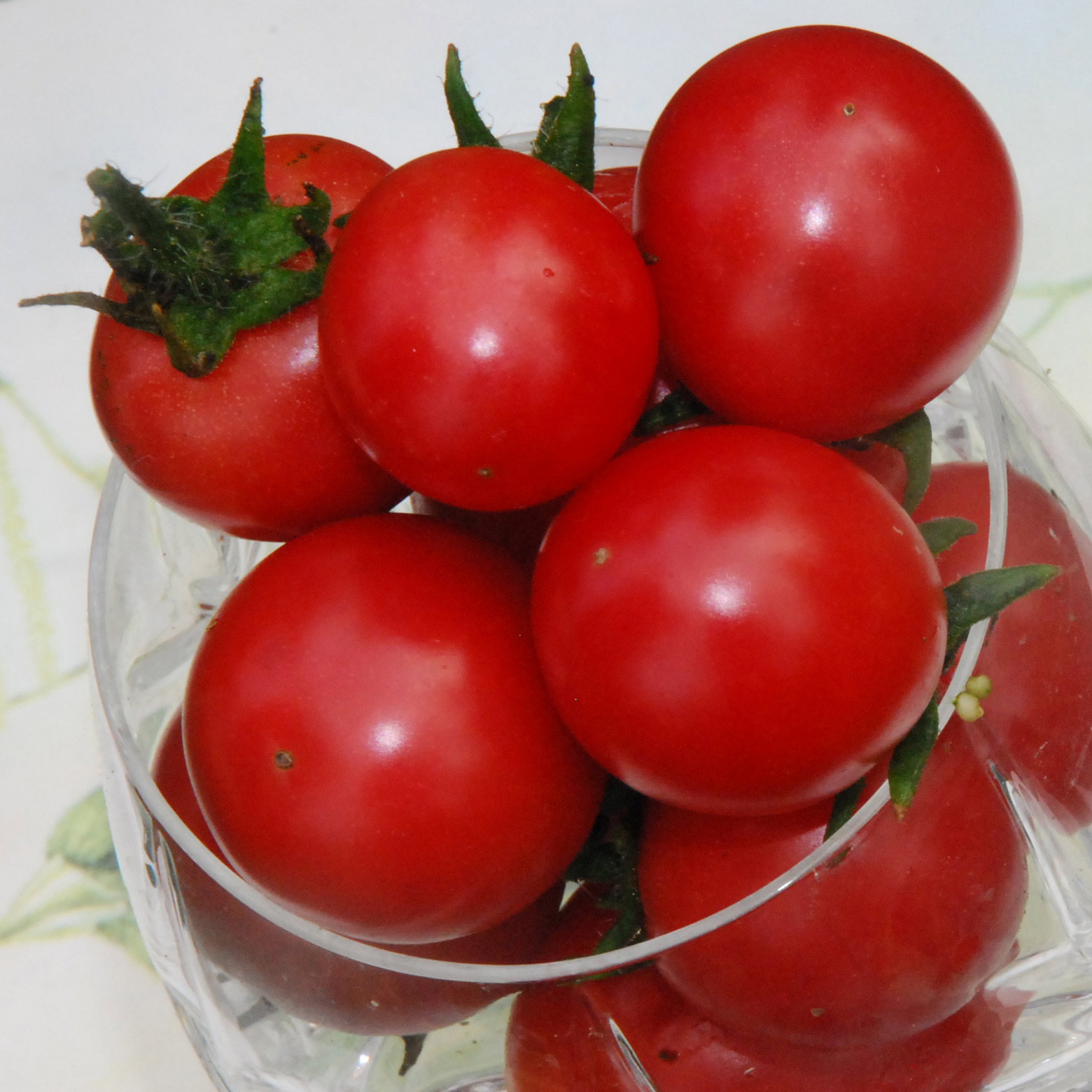 Gartenperle5
