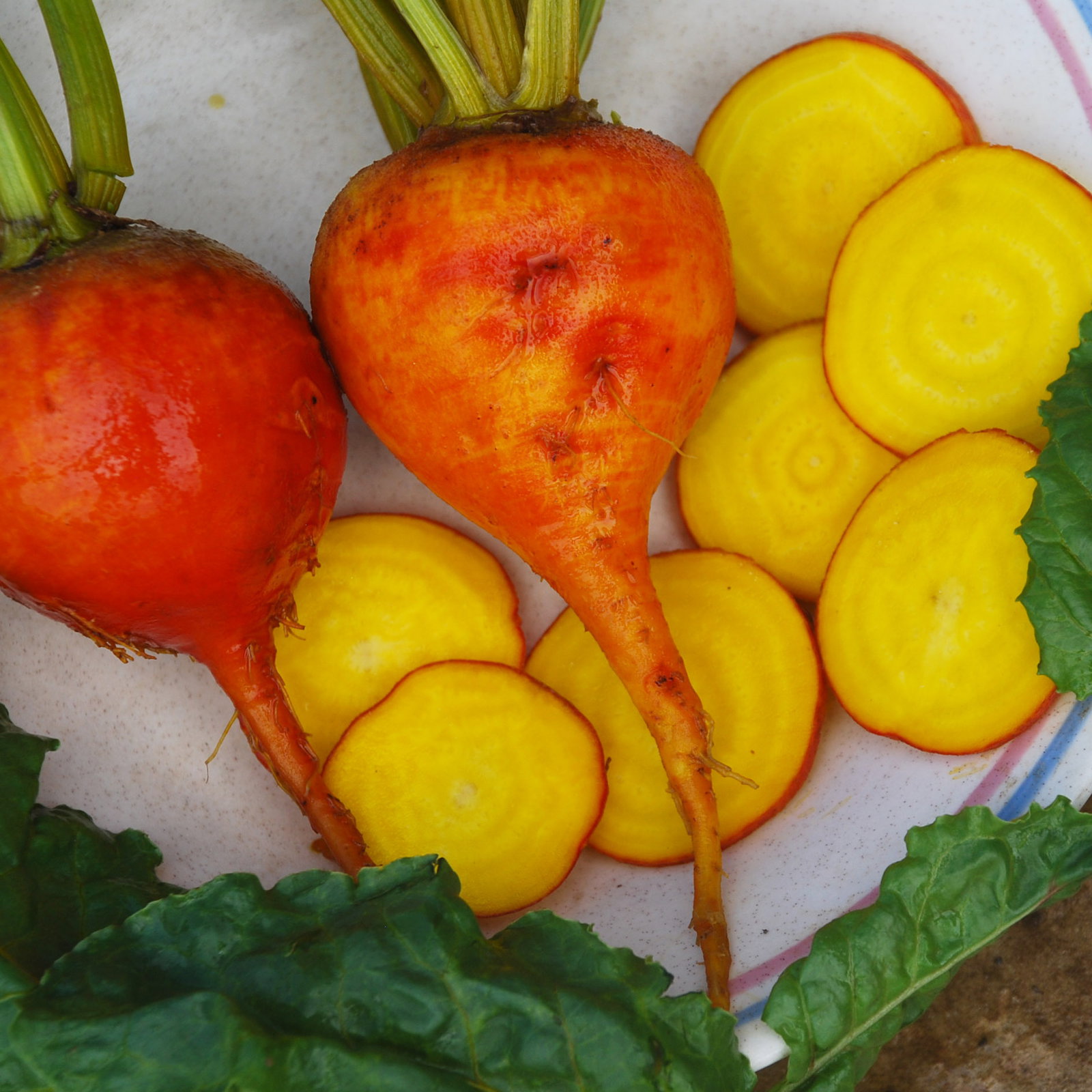 Goldenbeet2