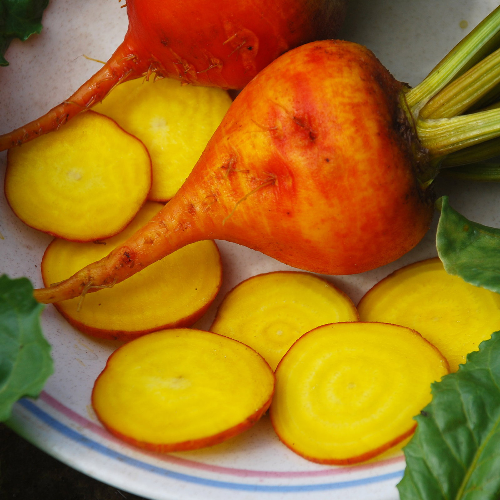 Goldenbeet3