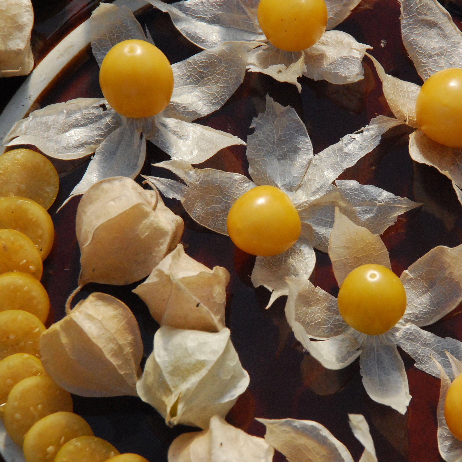 Goldenberry1