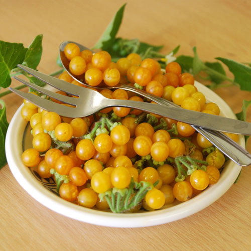 Golden Wonder Berry