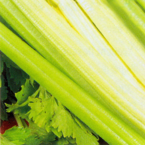 Golden Selfblanching