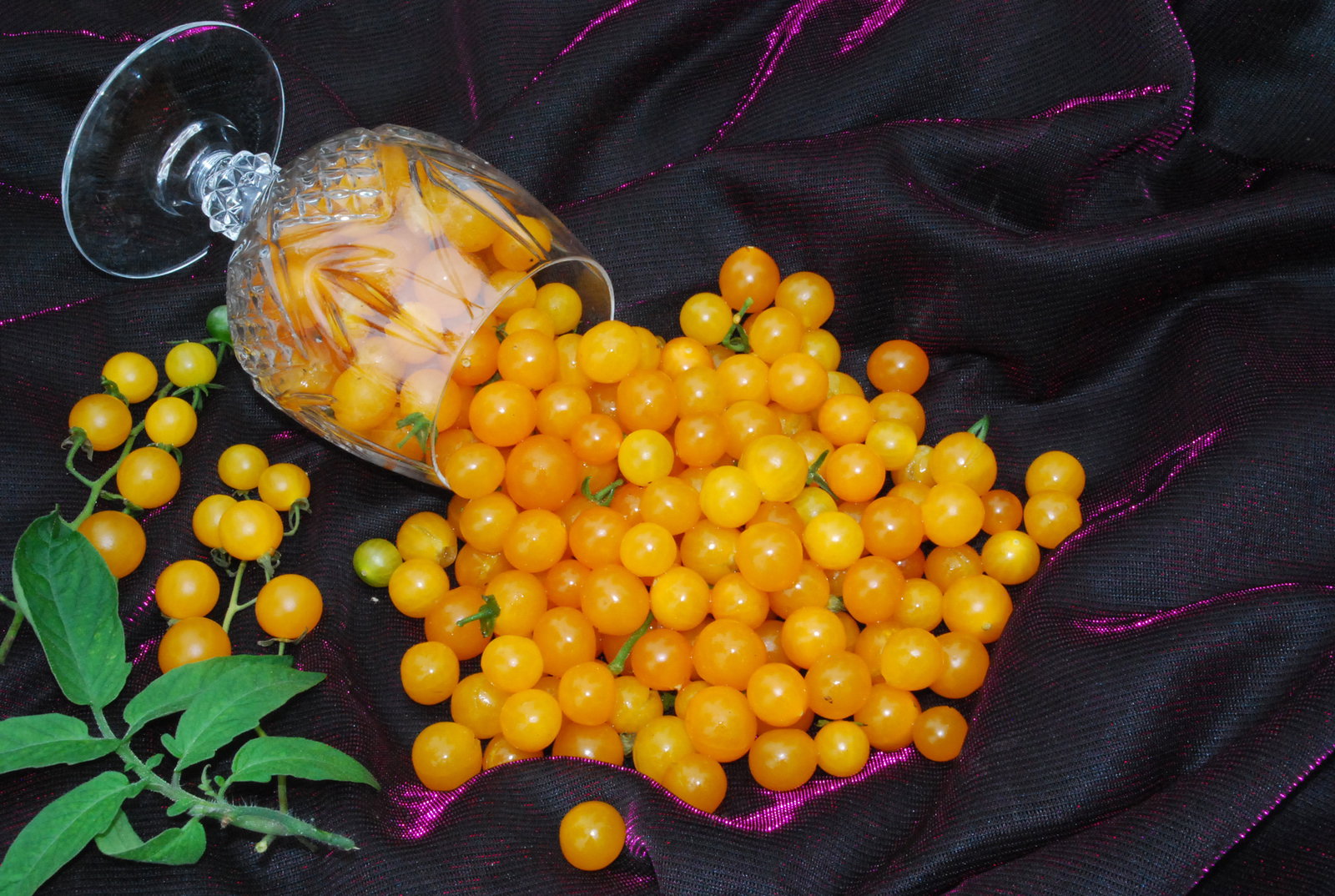 Goldrushcurrant01