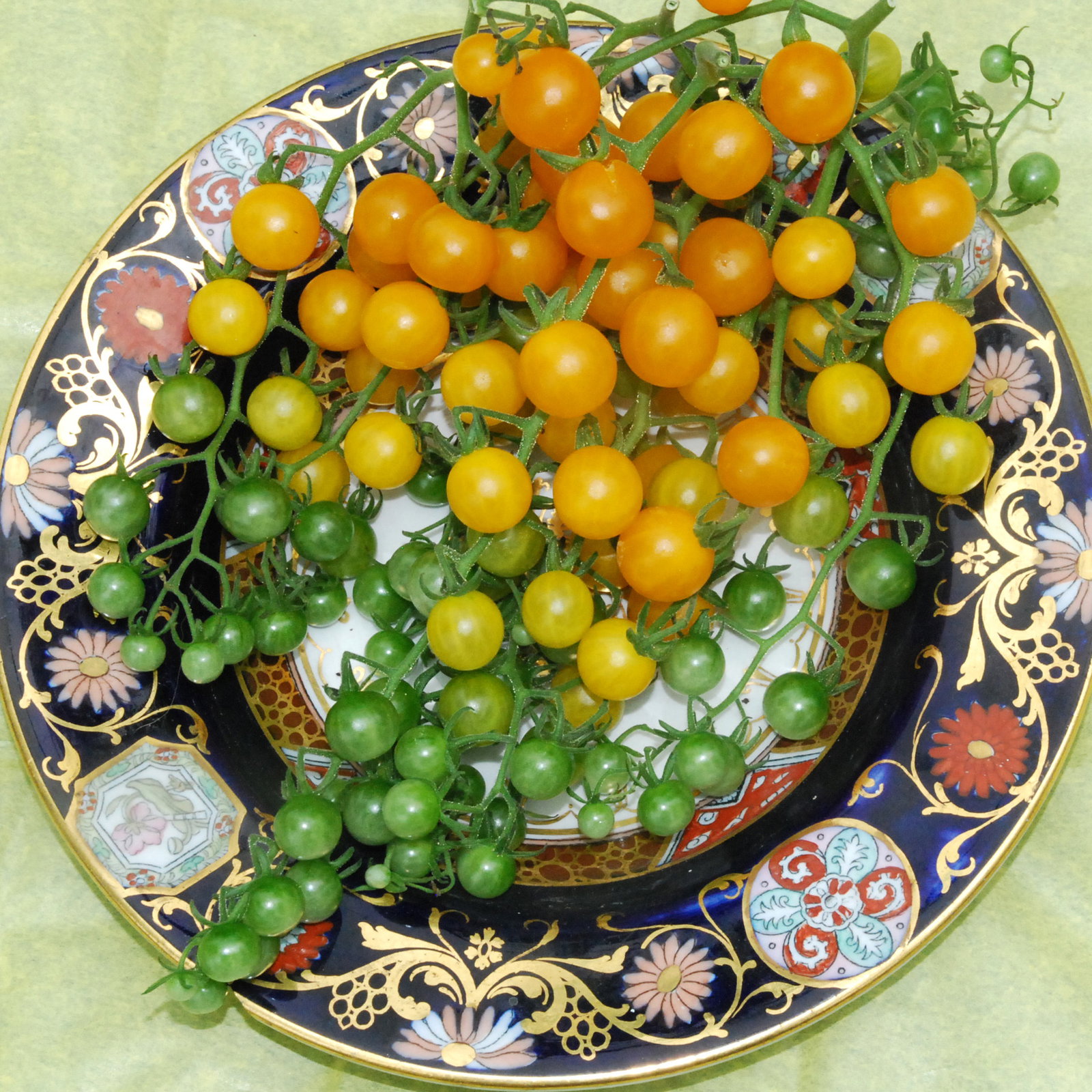 Goldrushcurrant3