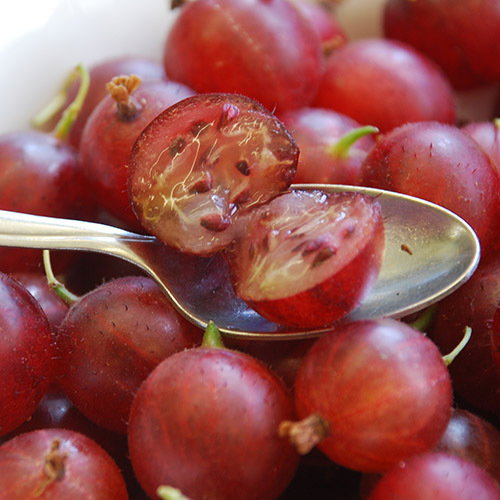 Dessert Gooseberries