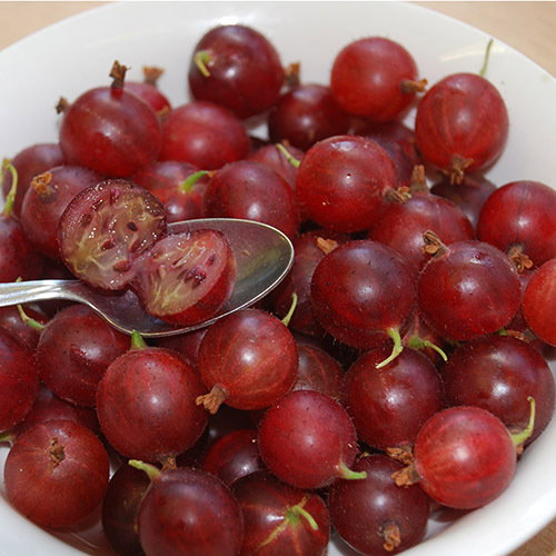 Dessert Gooseberries