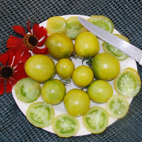 Green Grape