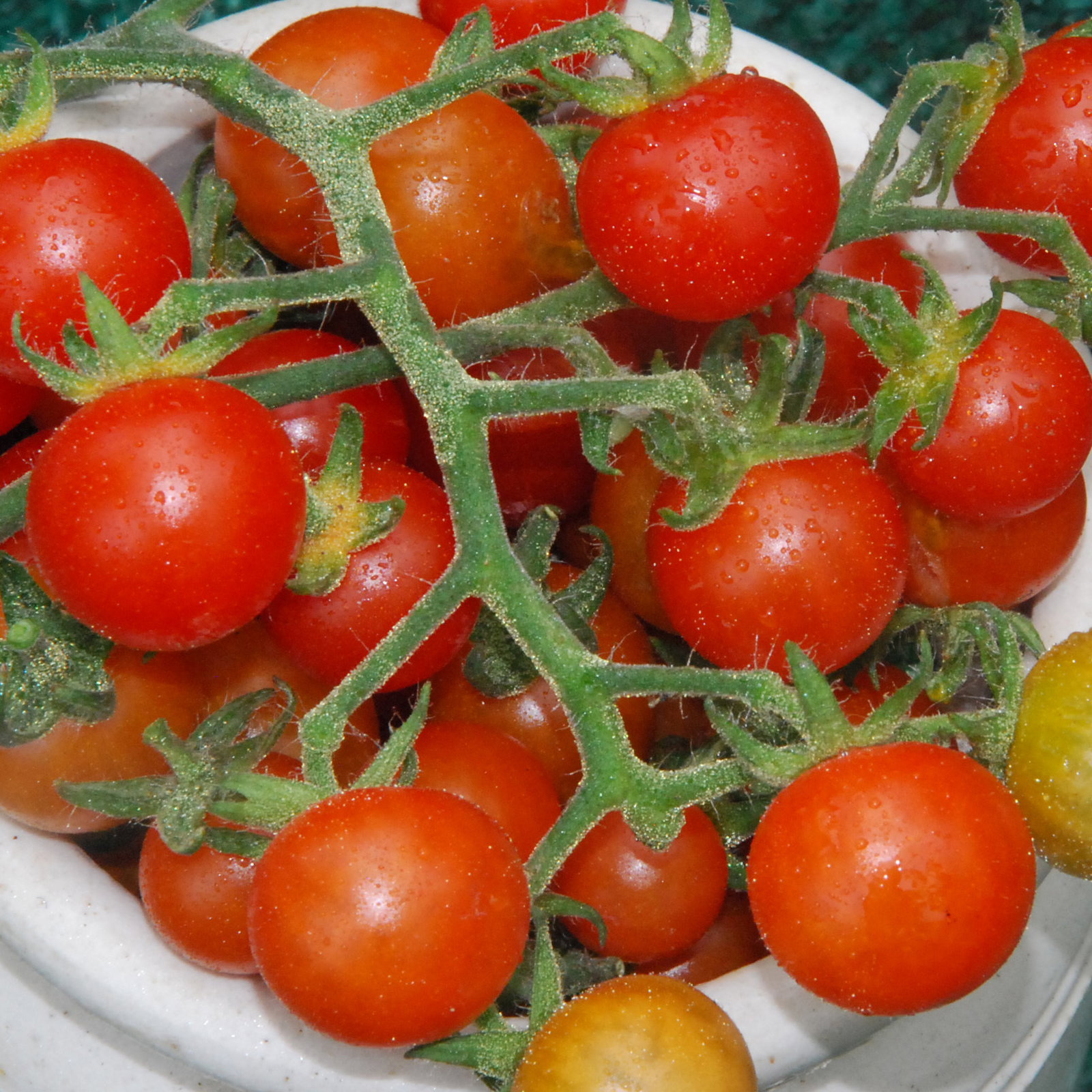 Hawaiiancurrant2