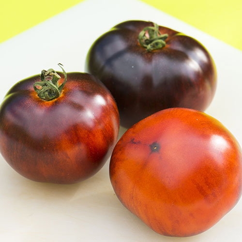 Tomato Indigo Apple 13A2157