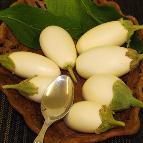 Japnese White Egg