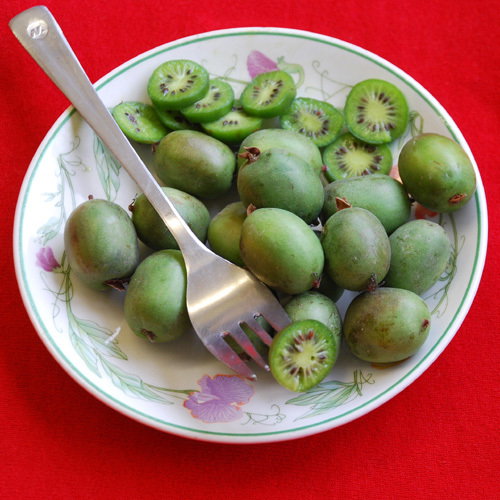 Kiwiberry