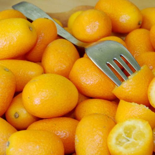 Kumquat1