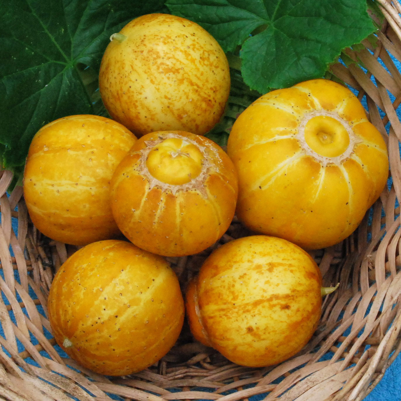 Lemoncuke02