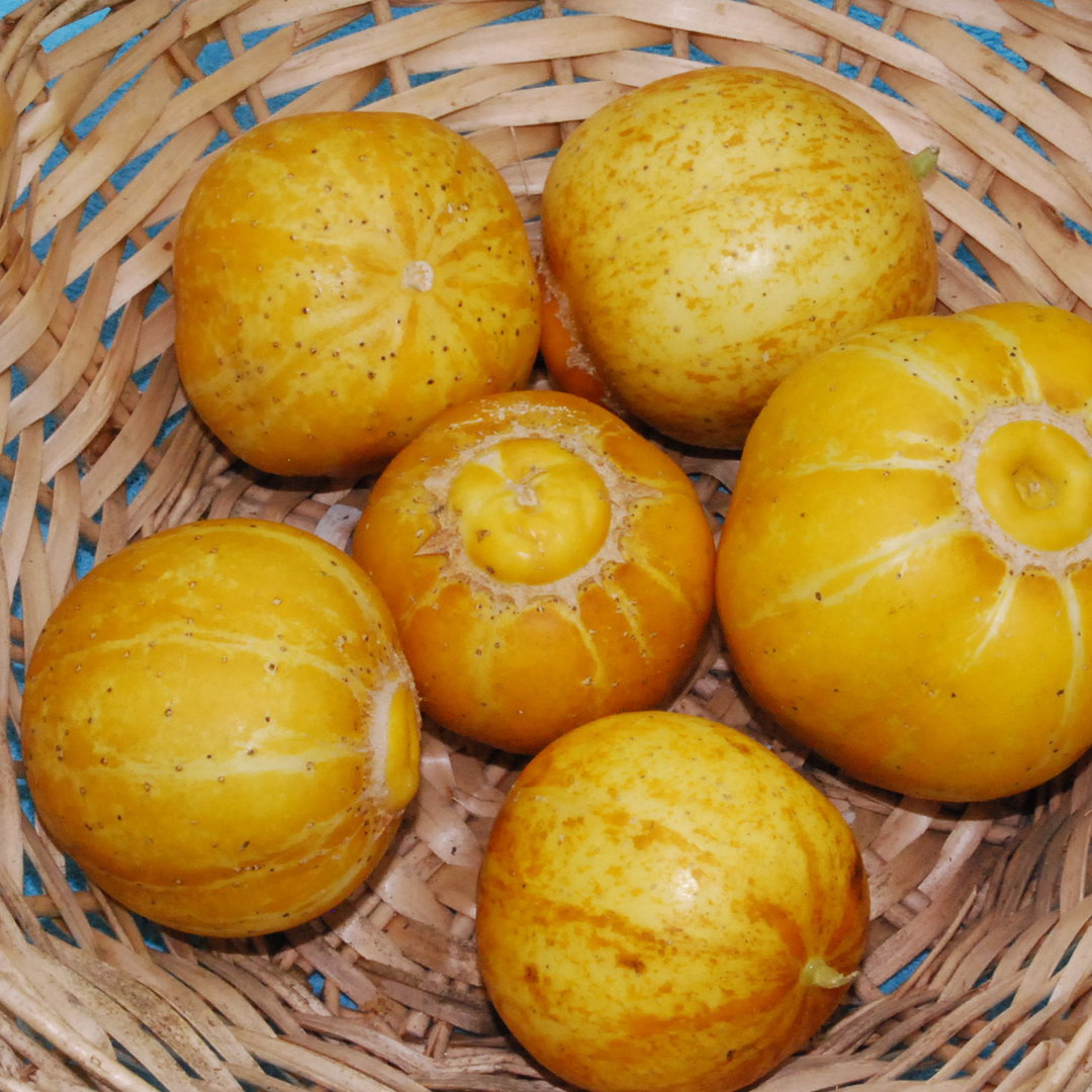Cucumber Lemon Cuke Seeds | Other Vegetable Seeds | Plant World Seeds