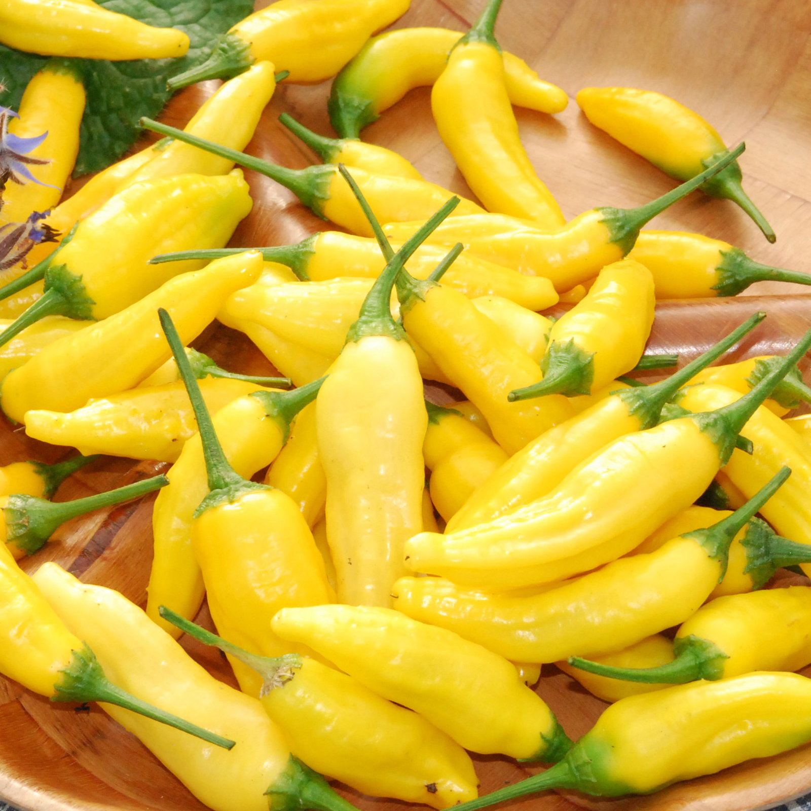Lemon Drop Pepper