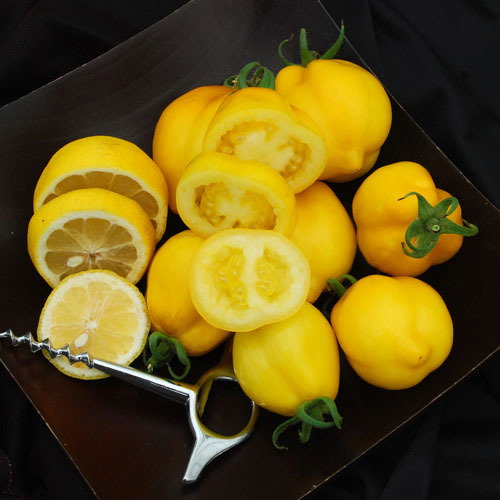 Lemon Tree
