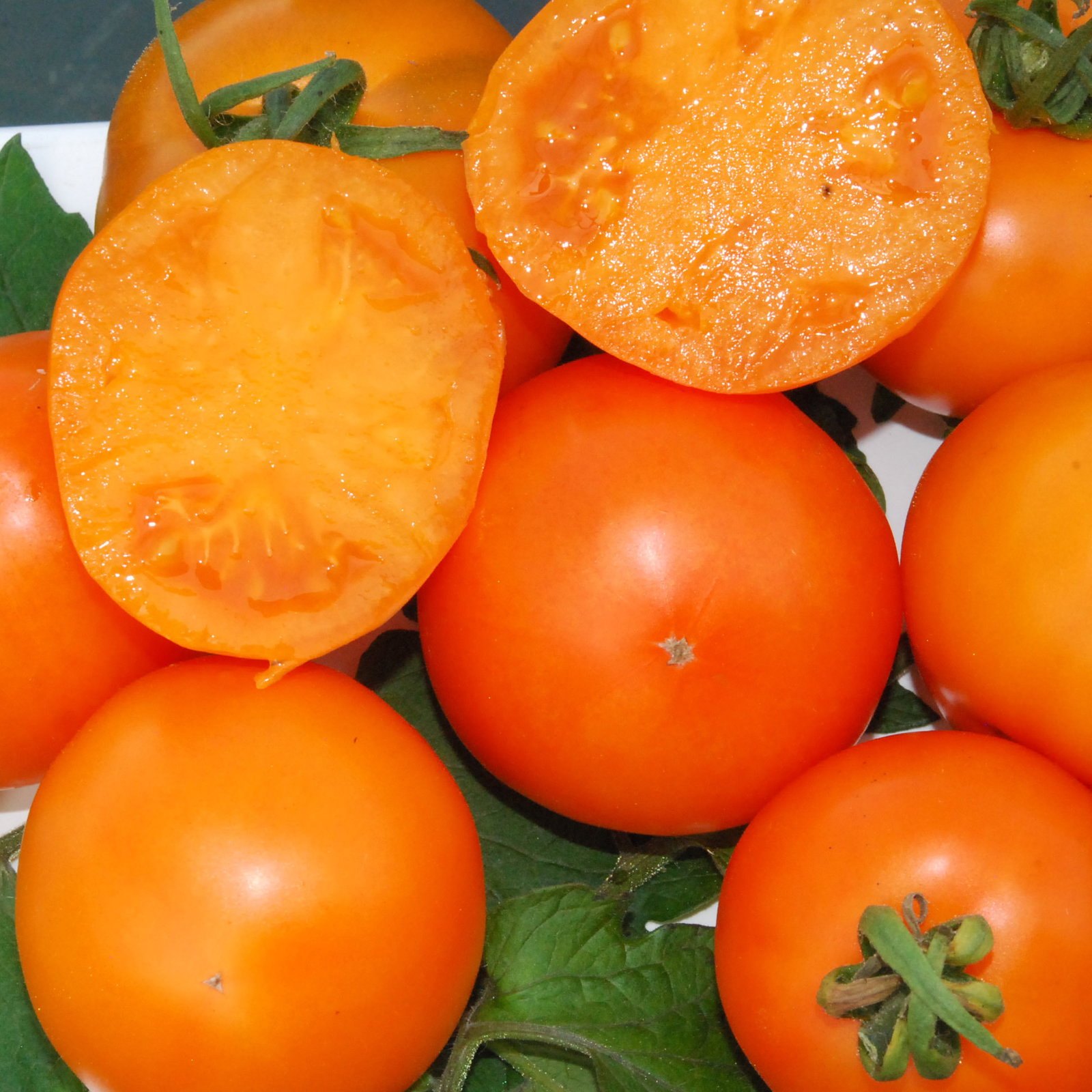 Mandarin Emperor