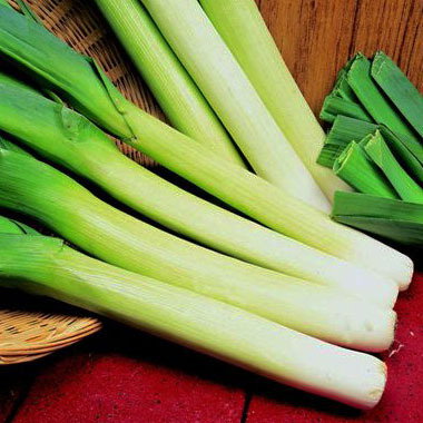 Musselburgh Leek Kings