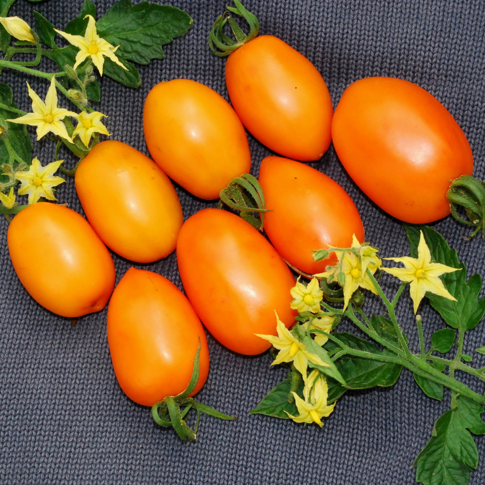 Orangebanana02